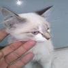 foto do perfil bond7821